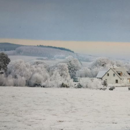 Hillhaven Bed &Breakfast Bed and Breakfast Fortrose Εξωτερικό φωτογραφία